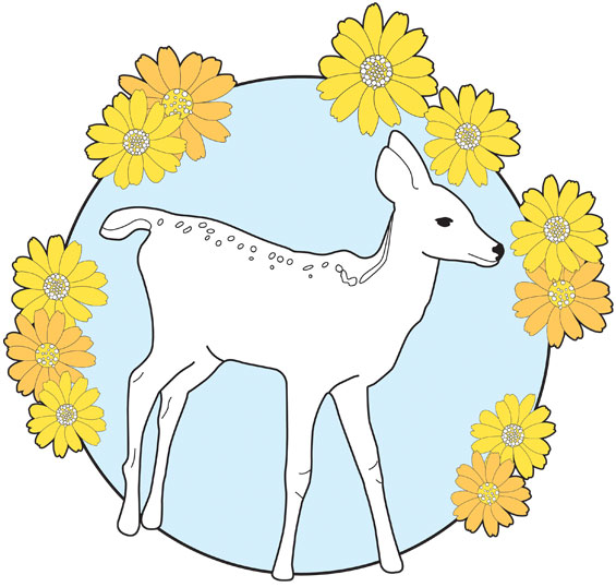 Flora and Fawn illustration